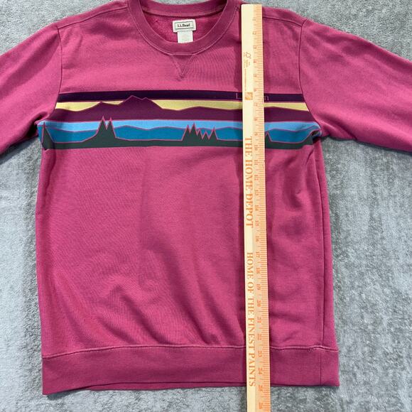 L.L.Bean Graphic Sweatshirt Pullover Crew Neck Long Sleeve Top Pink Size L 14-16 - Picture 3 of 7